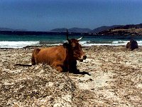 Sardinië  Italië